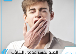يدرك الجميع أن التثاؤب الذي يصيبنا يوميا عادة معدية ، تنتقل من شخص لآخر لا شعوريا ، فعندما نرى شخصا يتثاءب نقوم بالتثاؤب بدورنا ولكن ما السبب في ذلك ؟