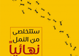 طرق التخلص من النمل
